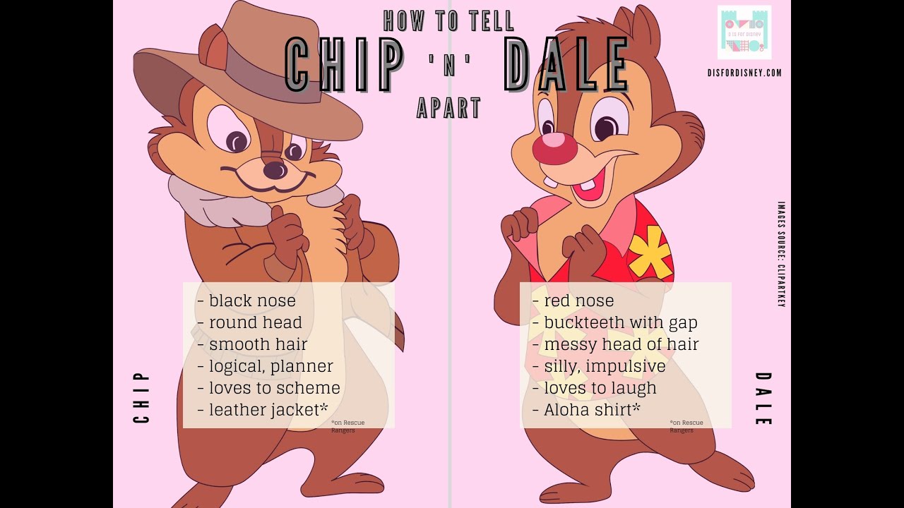 Who S Chip And Whos Dale Who S Chip And Whos Dale