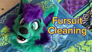 Cleaning my Fursuit!