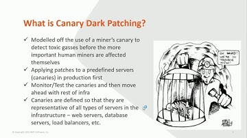 BSA: Canary Patching