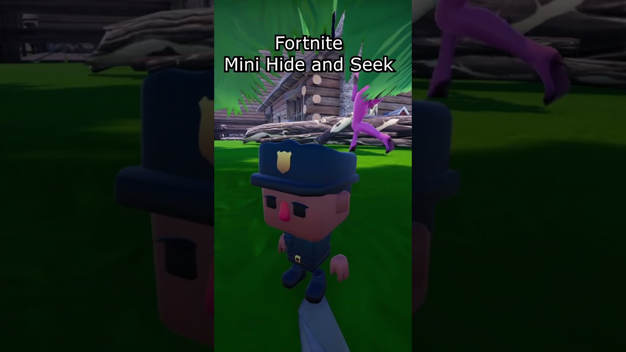 MINI HIDE AND SEEK FUNNY MOMENTS PT 47