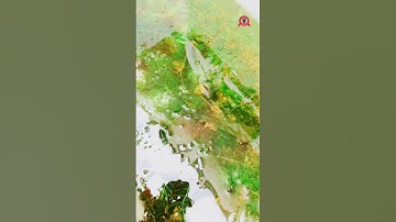 Cá lóc form batik thùng xốp ngoài trời