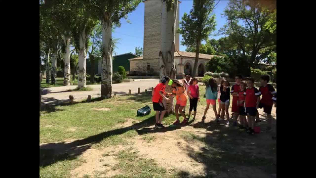 FINAL DE CURSO DE 3º Y 4º EN EL GRAN CAPITAN camera iphone 8 plus apk