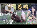 【菜园子23】 养鸡--自制自动喂水器，参观鸡舍，养鸡的故事 DIY Automatic chicken (poultry) drinker, Raise chicken in backyard