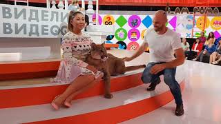 видео: Месси покоряет Первый канал. Messi conquers television картинка: Месси покоряет Первый канал. Messi conquers television