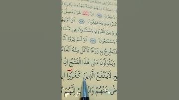 سورة السجدة الأية 28 إلى 30 بصوت سعد الغامدي