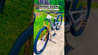 Who loves gold? lol #mtb #shorts #santacruzbicycles #trending #viral #motivation #funny #music #cat
