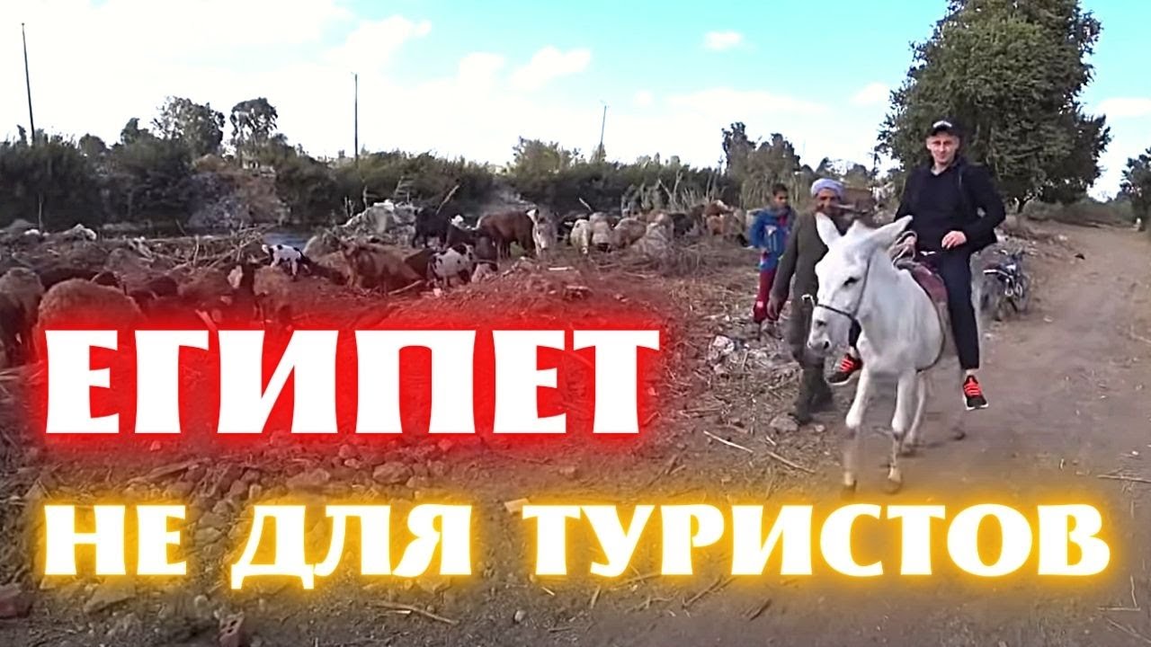 НЕ Туристический ЕГИПЕТ 