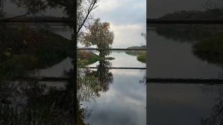 фонари осень рыбалка карась щука кит акула #music #равнины #beach #lifeisbutadream  #lifeisbutadream
