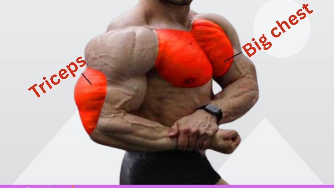 Build A Massive Chest 2025 and Triceps Workout gym #tryceps #byceps # ...