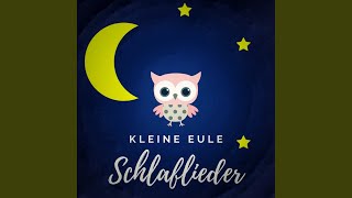 Weißt Du, wieviel Sternlein stehen (Spieluhr) - Kleine Eule