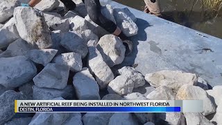 Living shorelines and artificial reefs paving the way for cleaner water