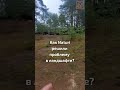 Как Naturi решили проблему в ландшафте #Shorts