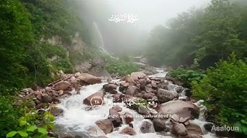 سورة النازعات القارئ مصطفى وجيه تلاوة نادرة تريح القلب والعقل 🎧