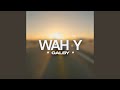 WAH'Y GALBY واه ياقلبي
