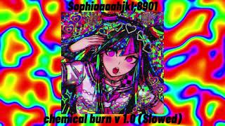 sophiaaaahjkl;8901 — chemical burn v 1.0 (slowed)