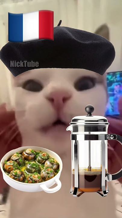 French Cat Vs Mexican Cat 🇫🇷🇲🇽