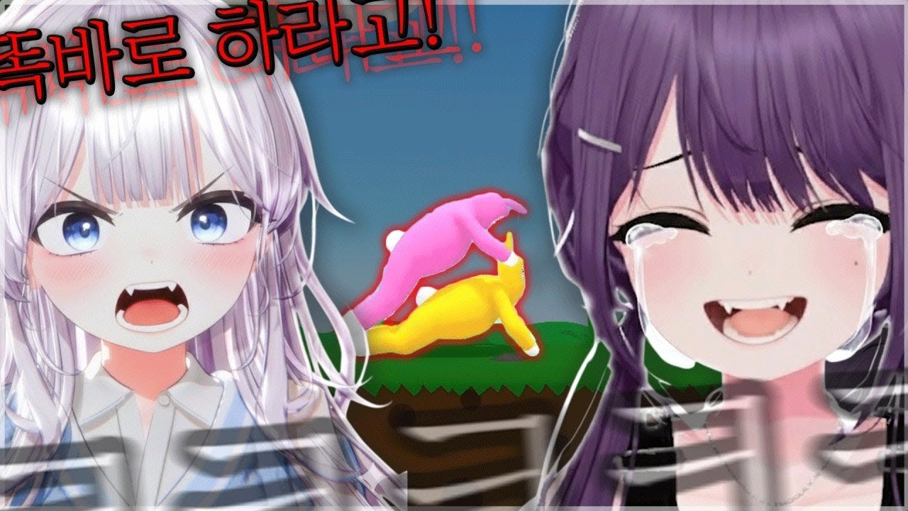 대환장 덤 앤 더머 듀오 [슈퍼 버니 맨]