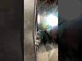My New Mini LED TV Arrived Broken (Unboxing Fail)