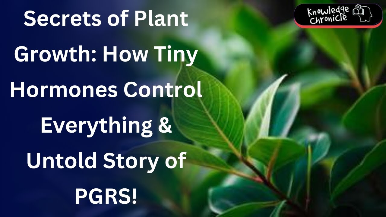 How Plants Grow: The Secret Hormones Controlling Their Growth and Development.