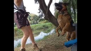 We don't do boring hikes by Adventures with Lycan my German Shepherd Dog 85 views 1 month ago 25 minutes