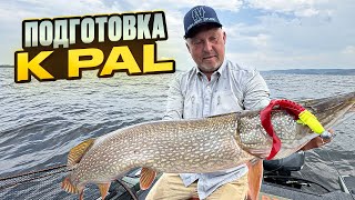 видео: Чуланов СНОВА ПОБРАЛ РЫБЕЙКИ! Тренировки перед PAL 2025 картинка: Чуланов СНОВА ПОБРАЛ РЫБЕЙКИ! Тренировки перед PAL 2025
