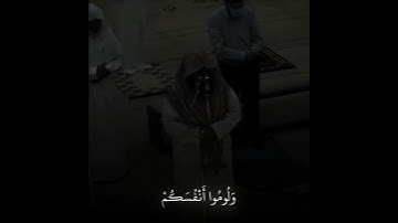 #قران #قران_كريم #quran #تلاوة_خاشعة