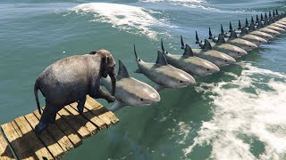 الفيل يمشي فوق جسر أسماك القرش قراند 5 GTA V Elephant walks over a shark bridge