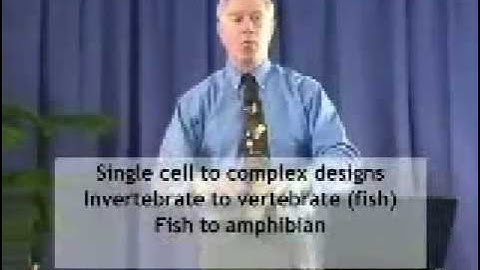 Mike riddle Exposes the Fossil Record that Support Evolution 1-6