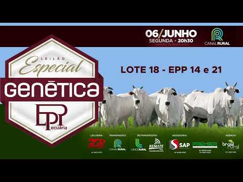 LOTE 18   EPP 14 e 21