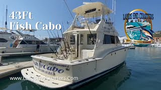 Cabo San Lucas Fishing Charters | 43 Ft Fish Cabo | Awesome Hatteras