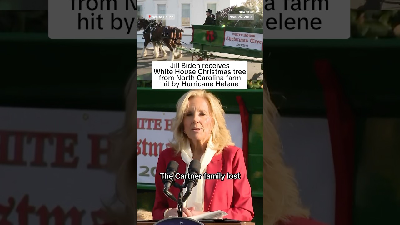 Jill Biden receives White House Christmas tree from North Carolina farm hit by Hurricane Helene Jill Biden receives White House Christmas tree from North Carolina farm hit by Hurricane Helene