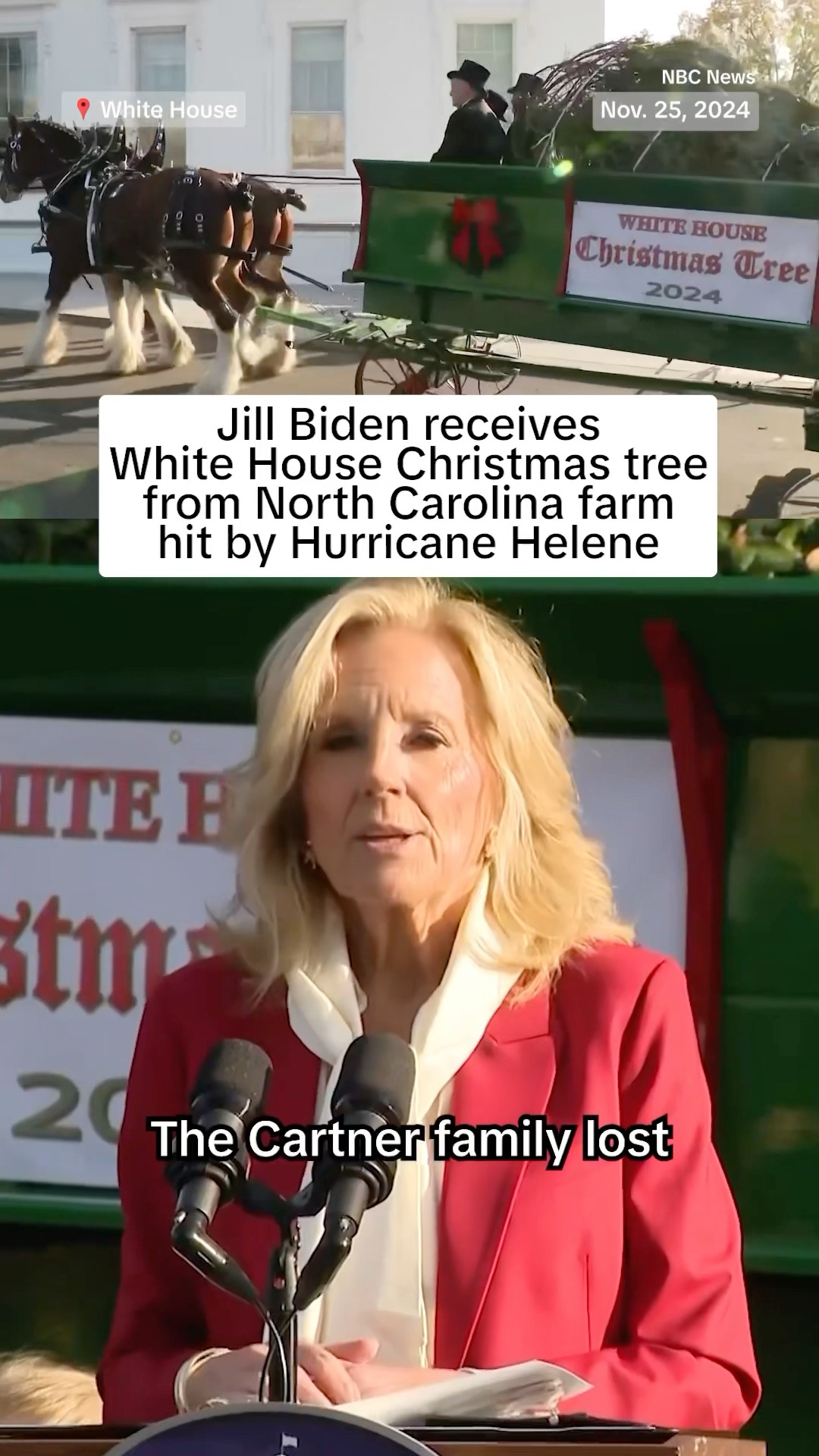 Jill Biden receives White House Christmas tree from North Carolina farm hit by Hurricane Helene