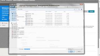 Blackboard Assignment Tool - Submitting an Assignment