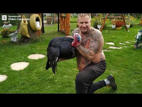 Pogaduchy do poduchy .Odc128bezdomni YouTube