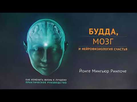 Будда Мозг И Нейрофизиология Счастья Купить Книгу