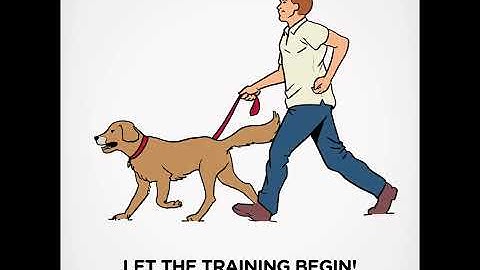 Hill’s How-Tos: DIY Obstacle Course