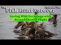 Saving Ducks with Second Chance Flight | FHF Podcast: Week 706