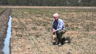 Malcolm Taylor: Integrated weed management