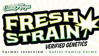Fresh Strain Farmer Interview featuring Safier Family Farms