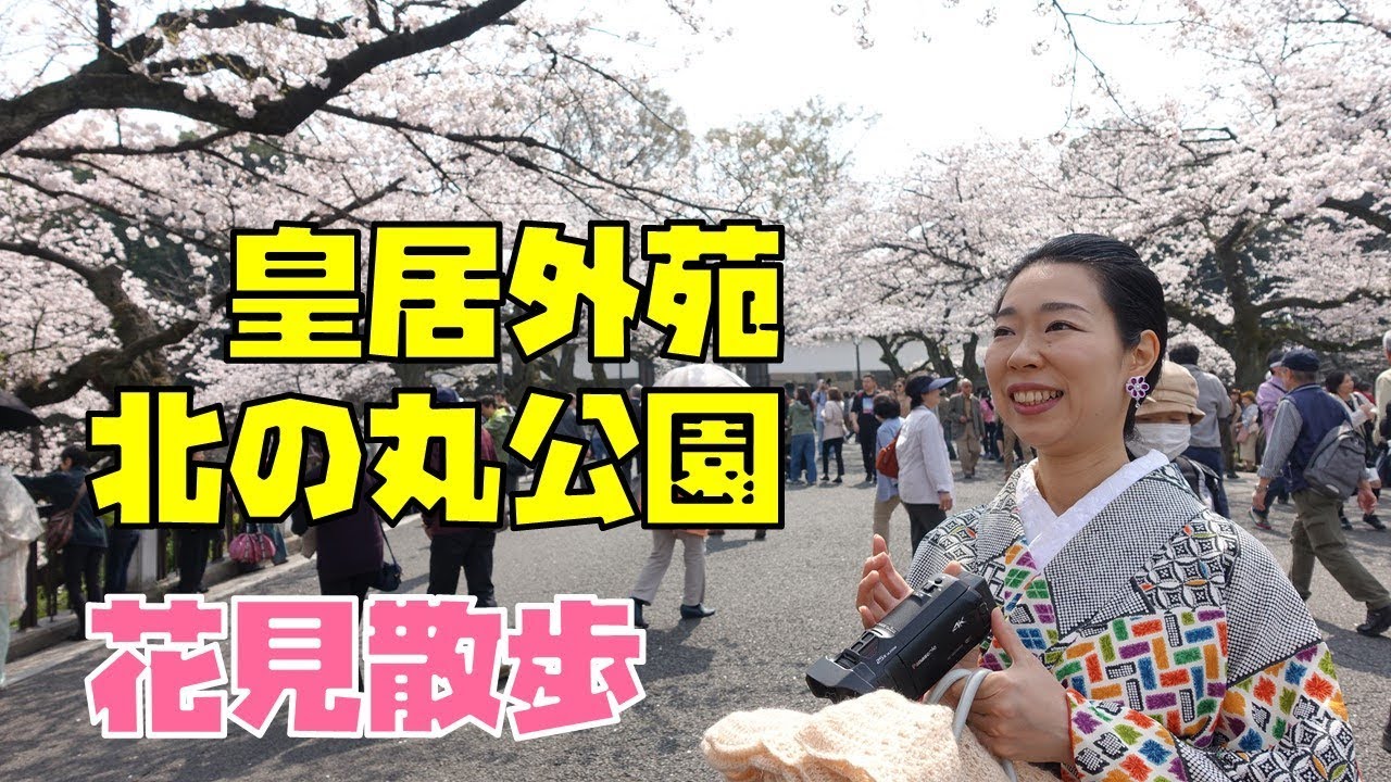 北の丸公園と武道館と田安門と千鳥ヶ淵緑道の満開の桜を花見散歩 みるみるランド