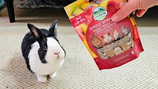 Shaking A Treat Bag For 10 Minutes
