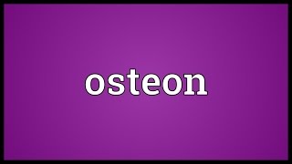 Osteon Meaning