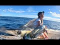 Marlin Fishing in  Cabo San Lucas
