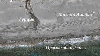 картинка: Жизнь в Алании: прогулка по набережной, котики и работа у моря