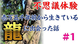 不思議体験 Youtube 不思議体験 Youtube