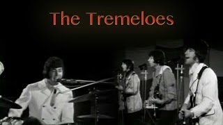 Video thumbnail of "The Tremeloes - Here Comes My Baby"