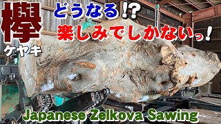 【大変だけど楽しみ】岩手のケヤキ原木を製材【木の店さんもく】Japanese Zelkova Sawing  hard to work with but it's fun! (Eng. sub)