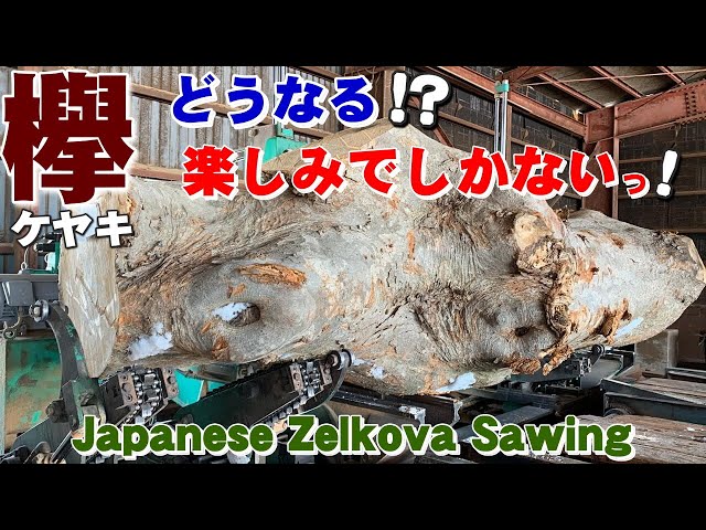 大変だけど楽しみ！】岩手のケヤキ原木を製材【木の店さんもく