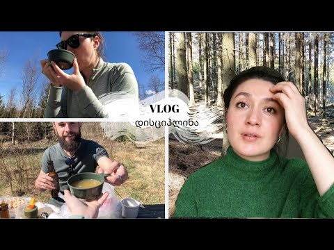 დისციპლინა l ტყეში მეგობრებთან ერთად