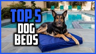 ✅Top 5 Best dog beds of 2024 by PetLabs 41 views 1 month ago 4 minutes, 44 seconds